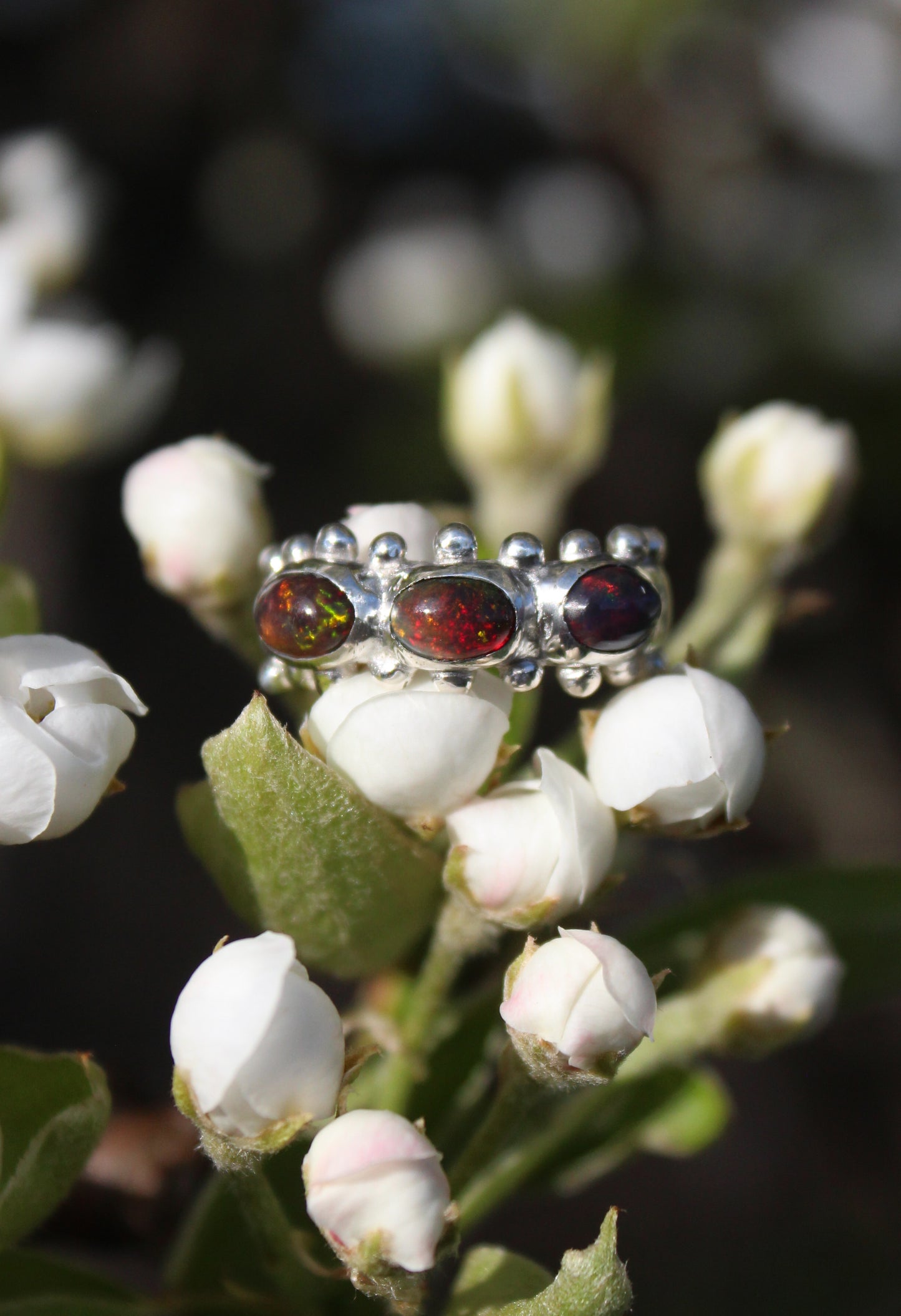 Prism Ring