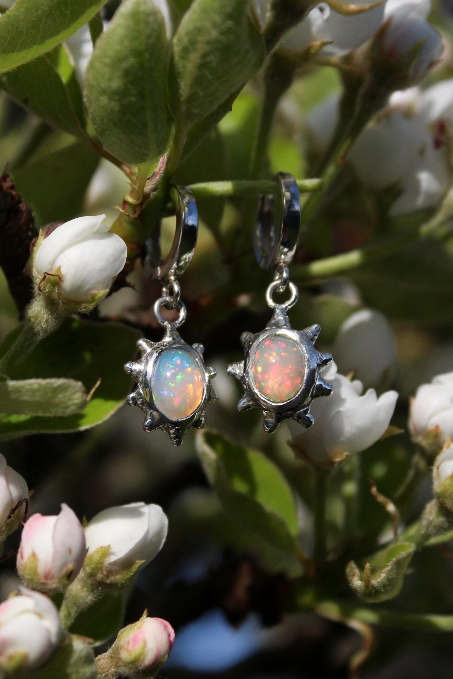 Soft Bite Earrings