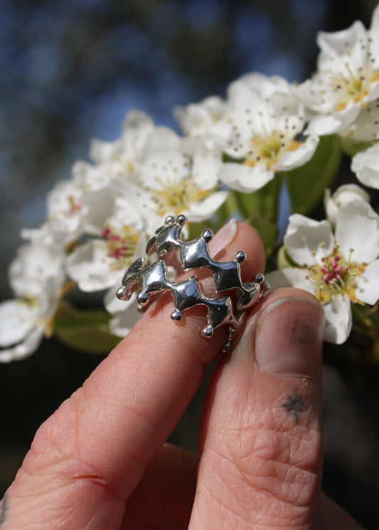Jester Ring