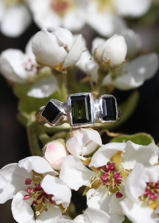 Shape Shifter Ring